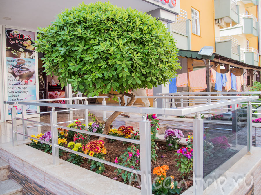 на улицах алании