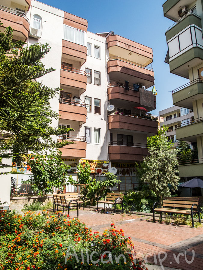 дома алании