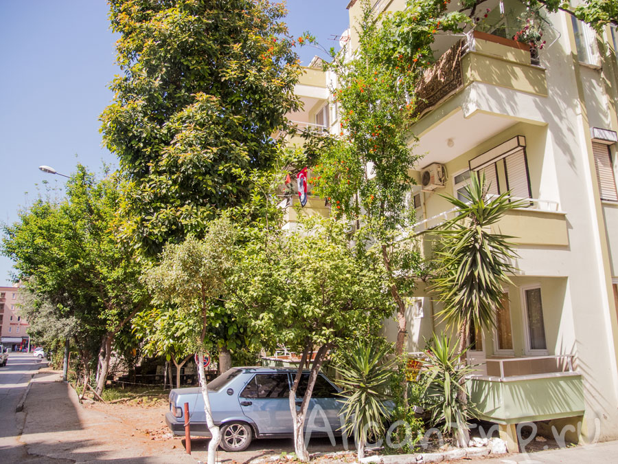 зелень в городе алания