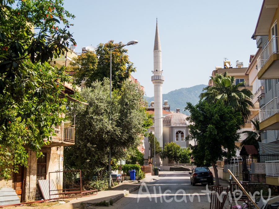 мечеть в алании
