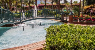 Городской парк Алании в мае