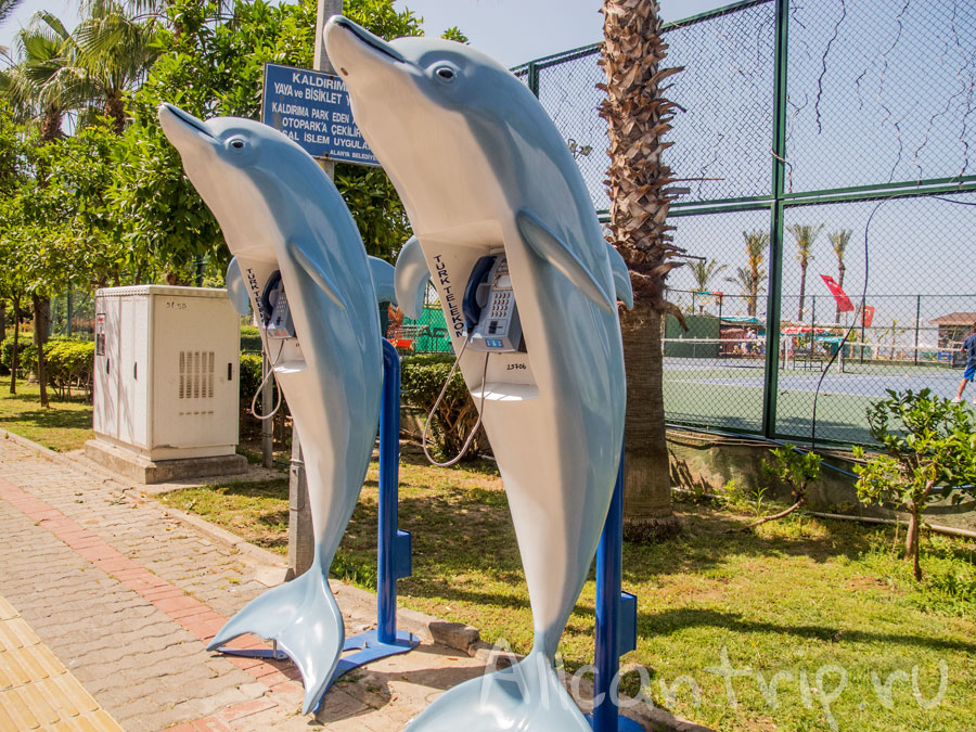 телефон-автомат в алании