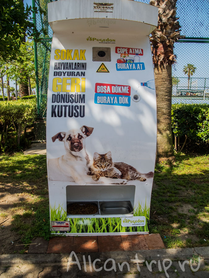 кормушка для уличных животных в турции