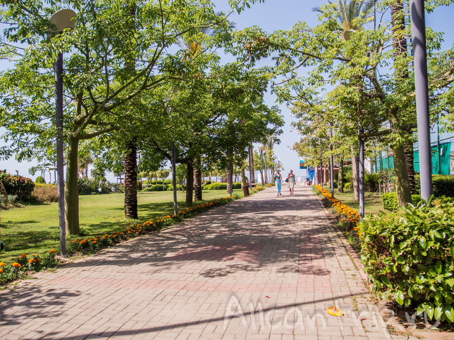 дорожка алании