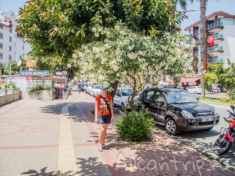 на улицах цветущей алании