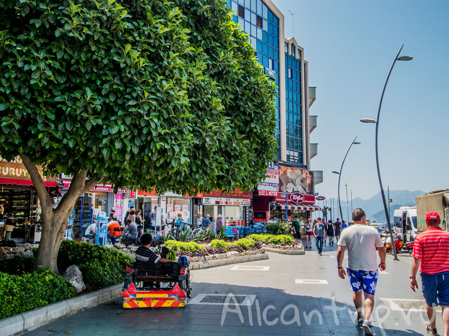 прогулка по мармарису