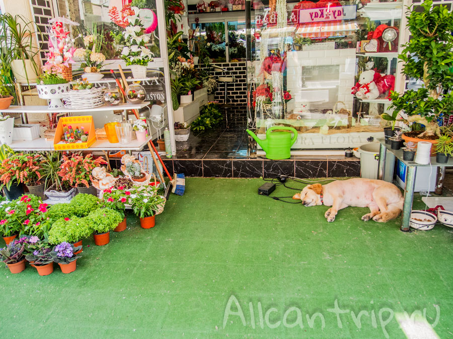 прогулка по мармарису