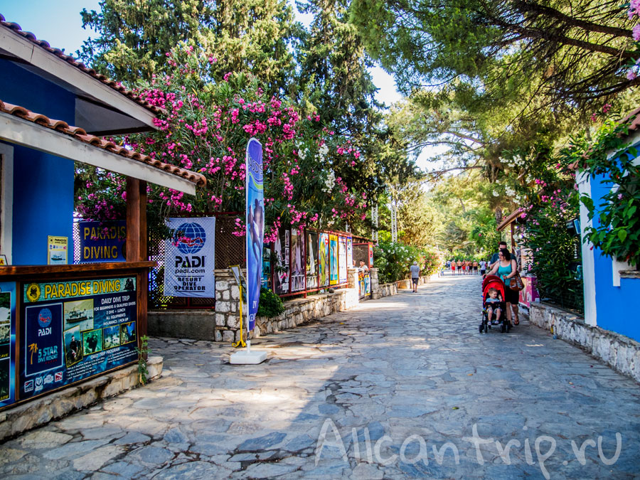 прогулка по мармарису