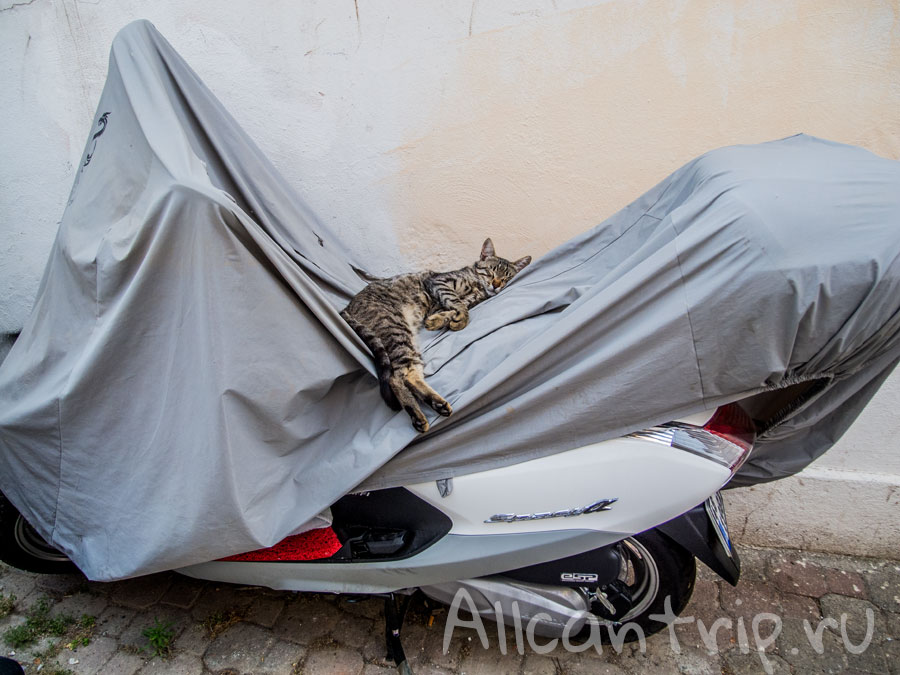 старый центр мармариса