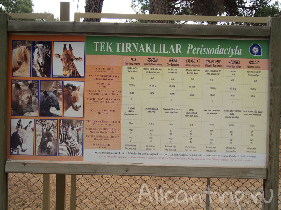 таблички указатели в зоопарке Анталии