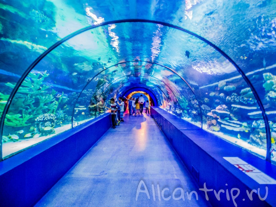 Туннельный аквариум в Анталии