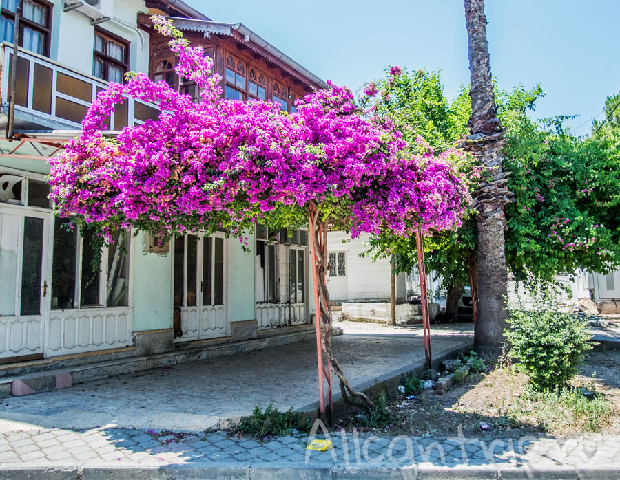 фетхие фото