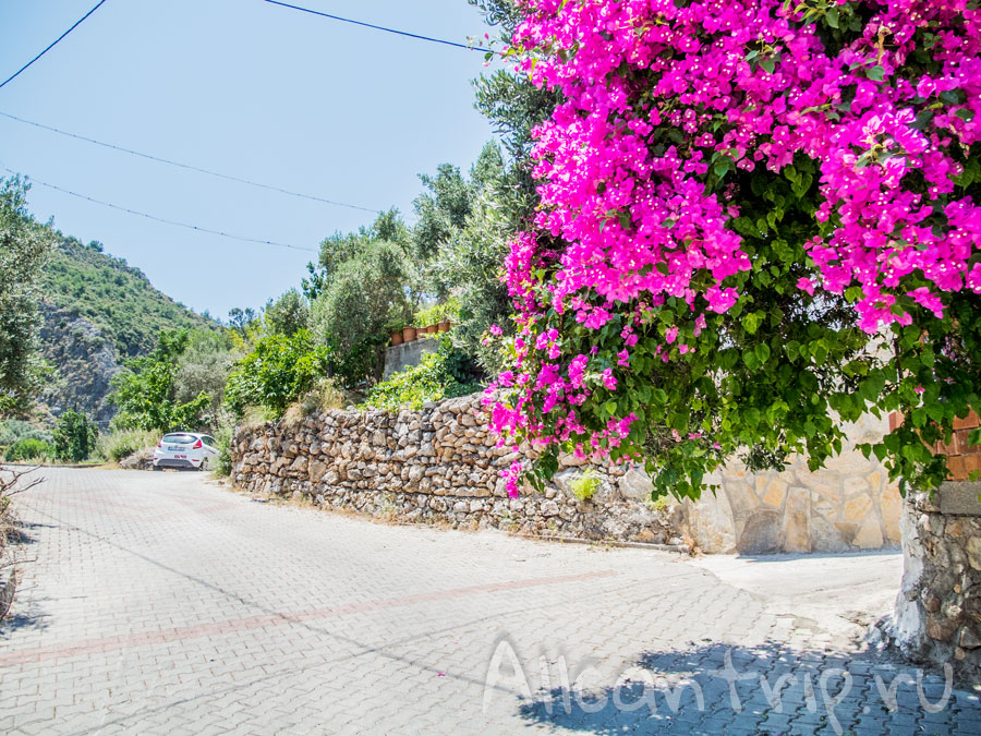 фетхие фото