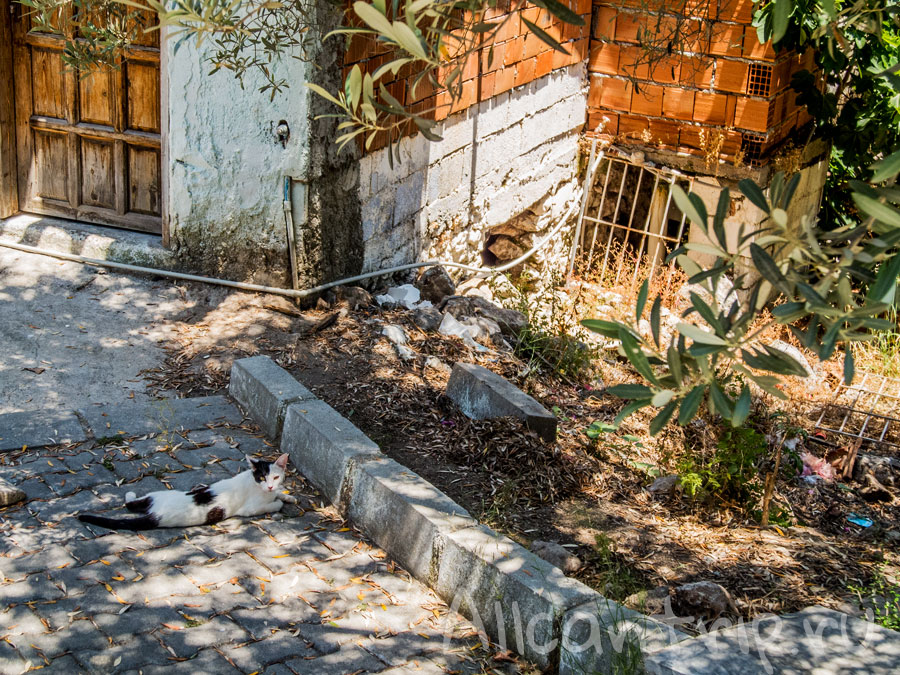 фетхие фото