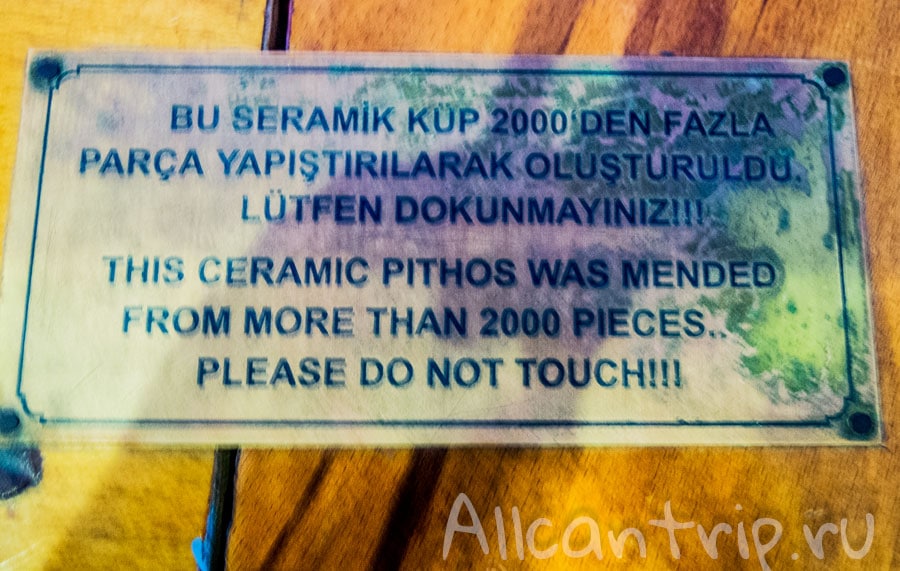 DSCN8319