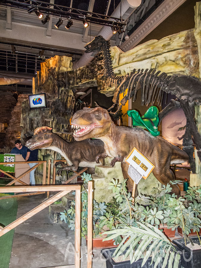 Динопарк ТЦ Forum Istanbul