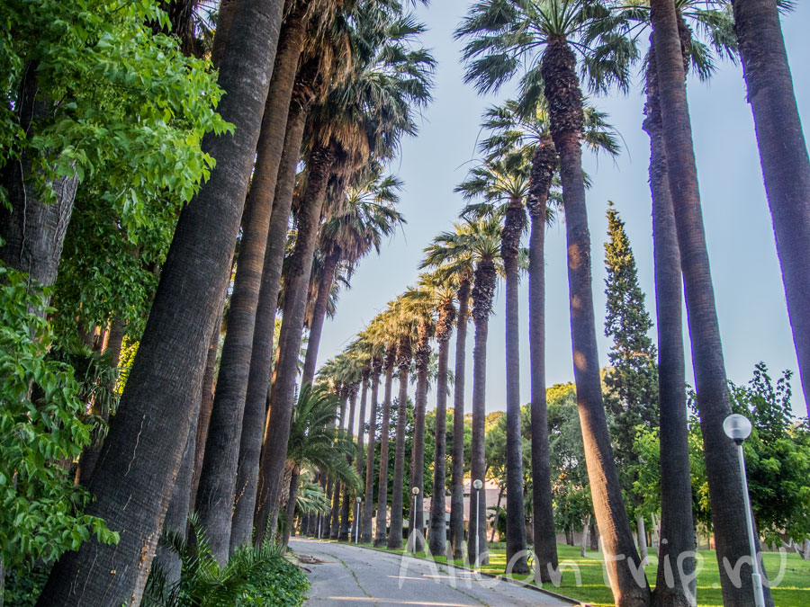 парк в Измире фото