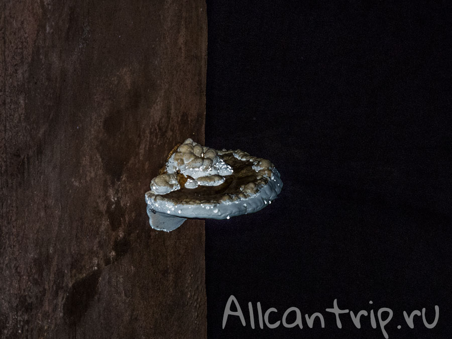 подземное хранилище воды в стамбуле