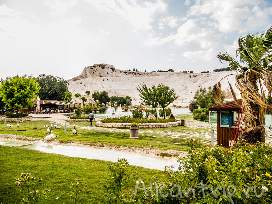 зеленый парк в памуккале фото