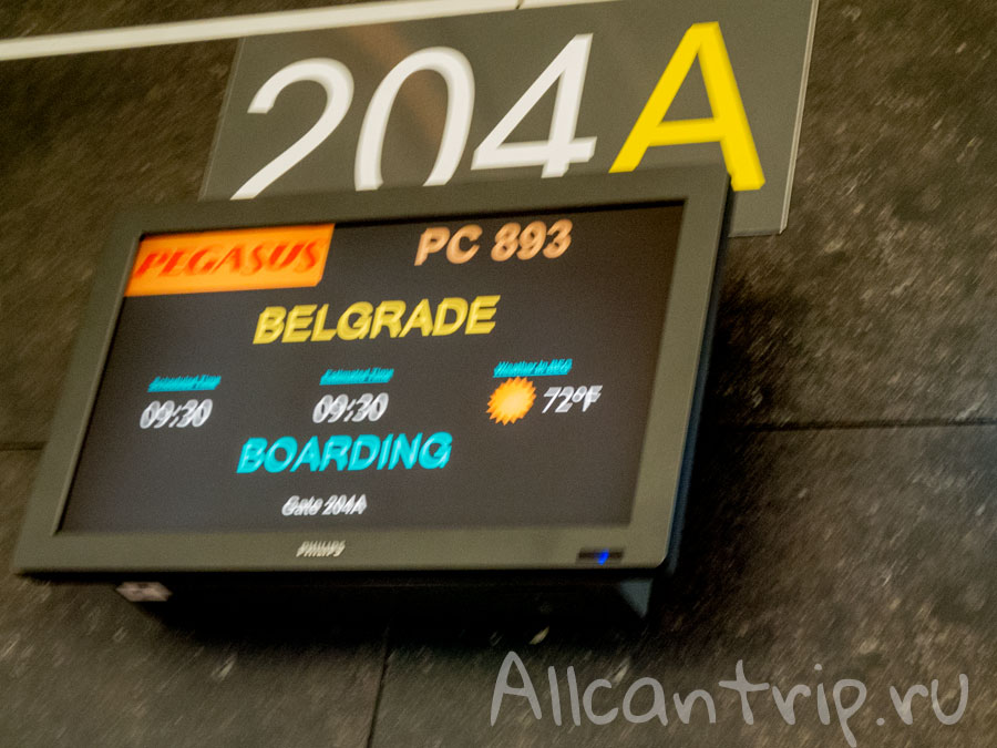 перелет в белград pegasus