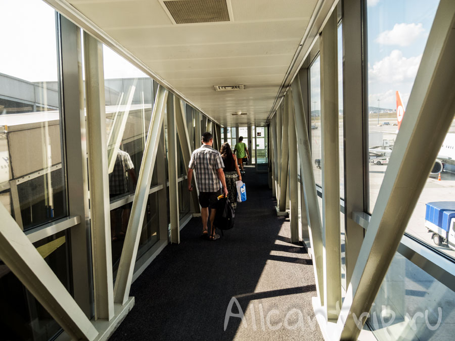 перелет в белград