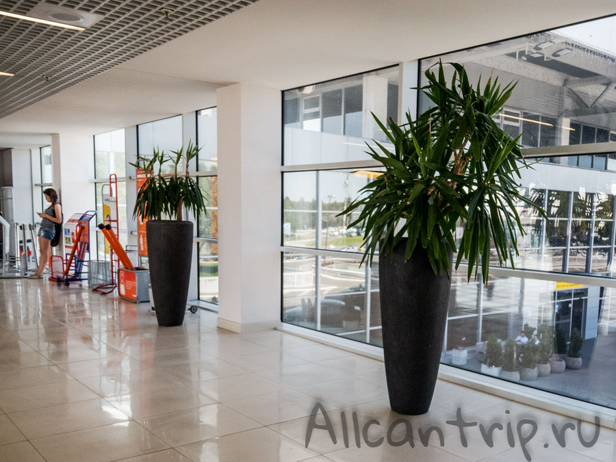 в аэропорту белграда