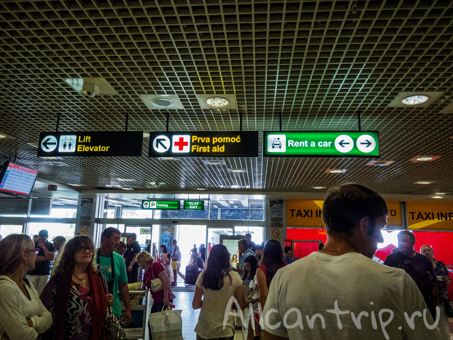 прилетели в белград