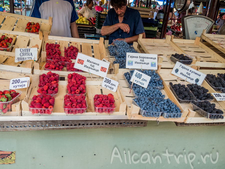 ягоды в Сербии