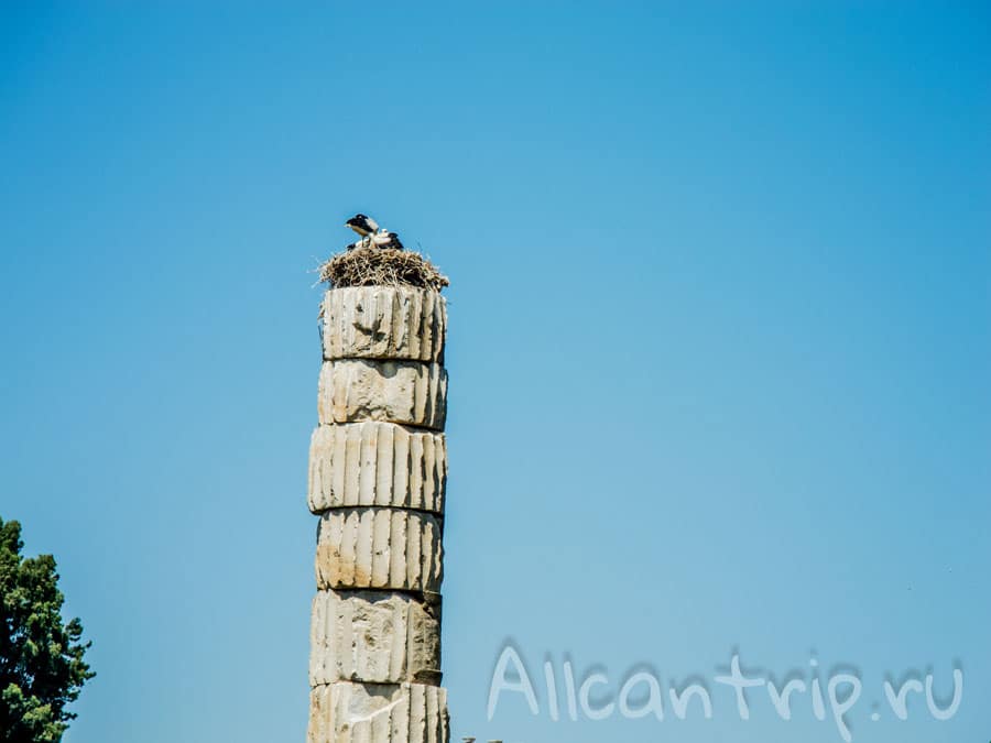 храм Артемиды Эфесской