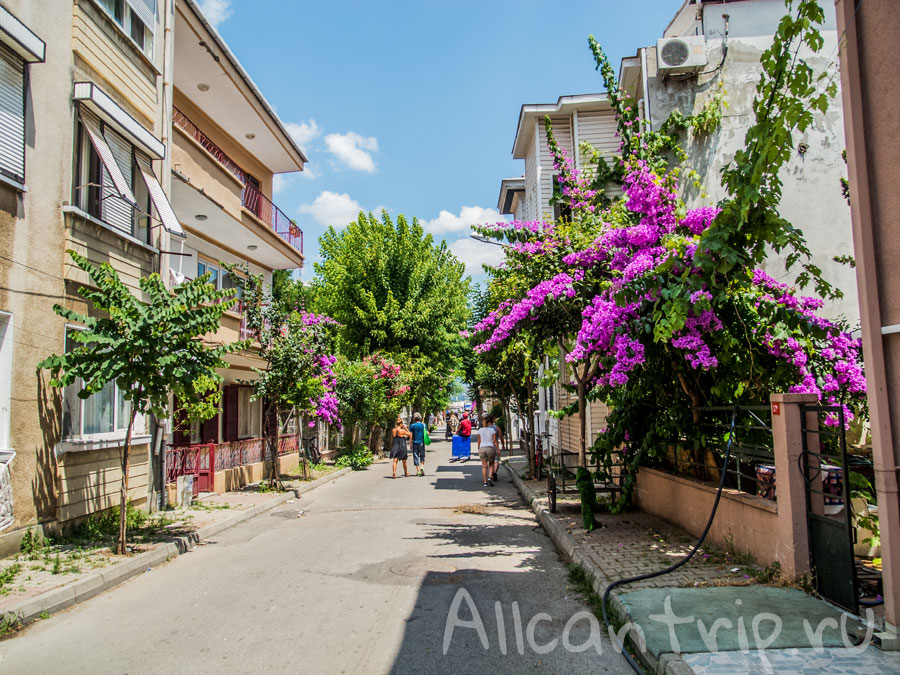 Принцевы острова что посмотреть