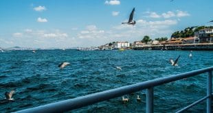 принцевы острова на пароме