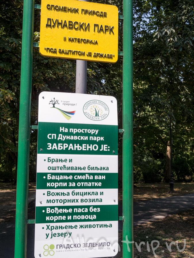 дунайский парк нови сад