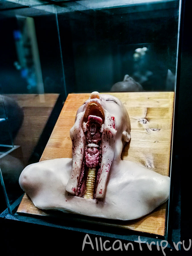 Флоренция Леонардо да Винчи