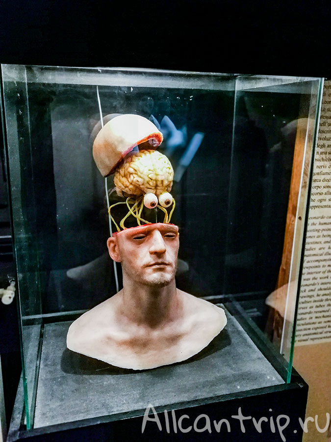 Флоренция Леонардо да Винчи