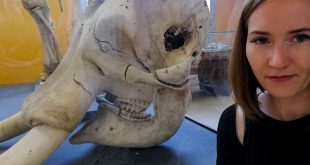 nature history milan