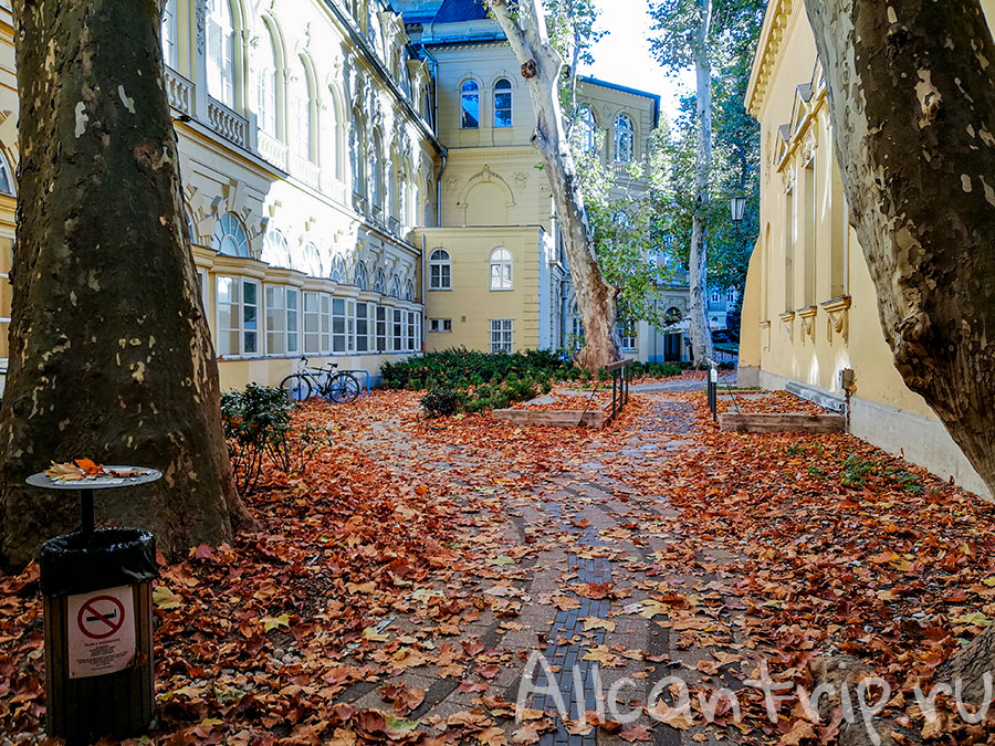 купальня лукач в будапеште