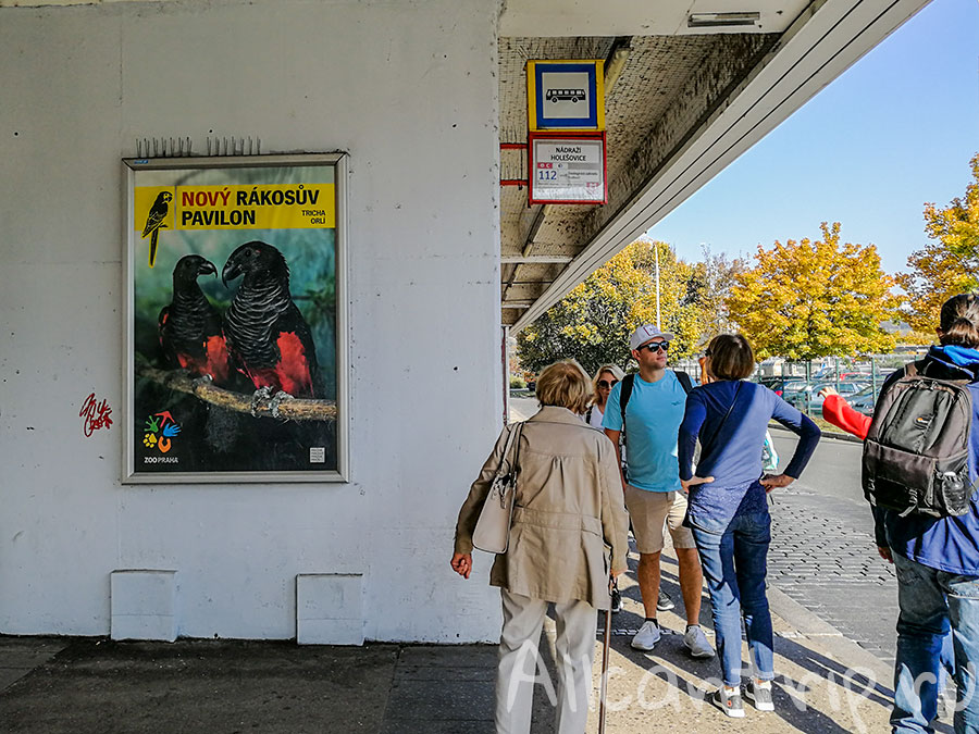 пражский зоопарк