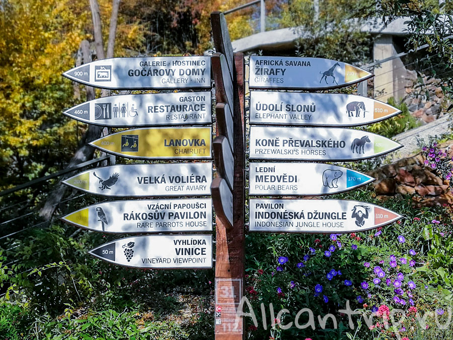 зоопарк праги