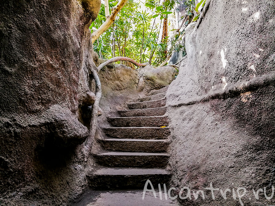 зоопарк праги