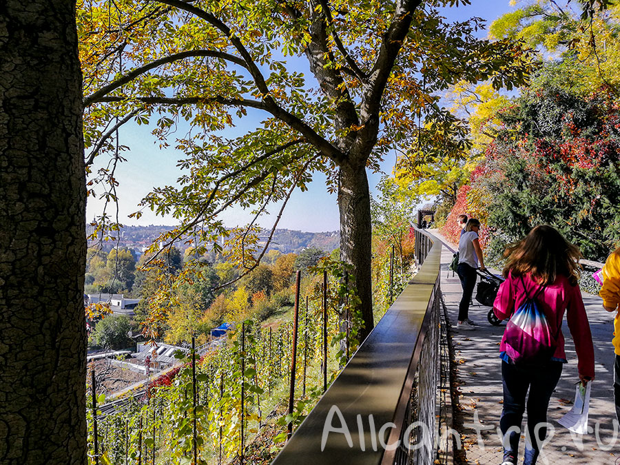 зоопарк праги отзыв