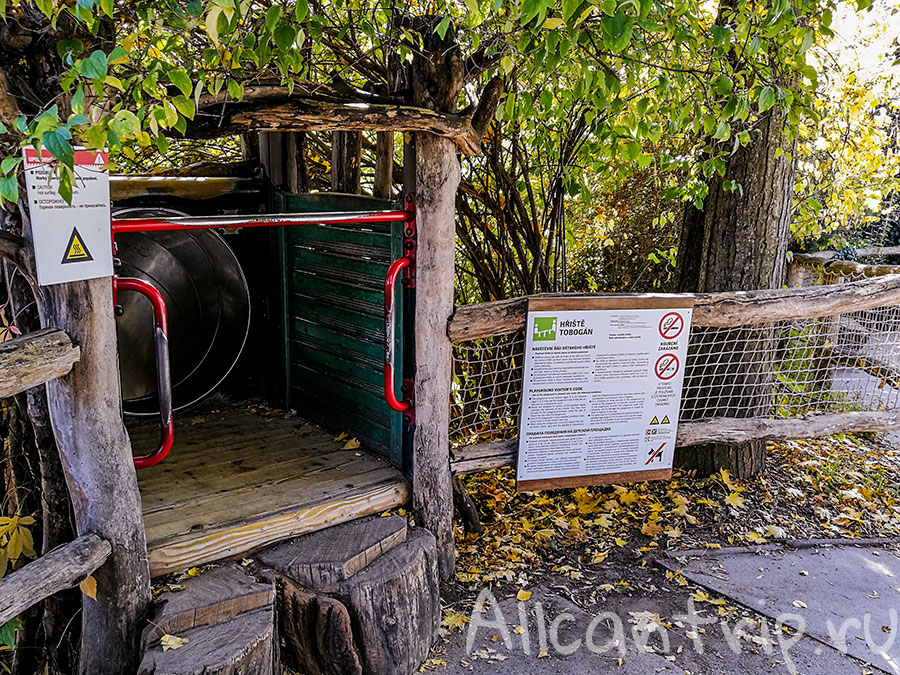 зоопарк праги что смотреть