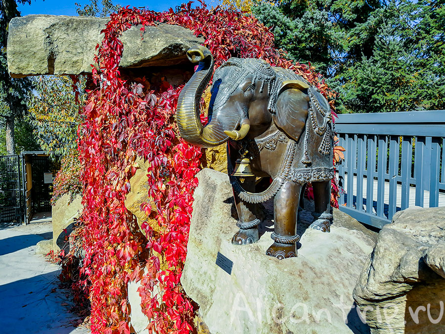 зоопарк праги