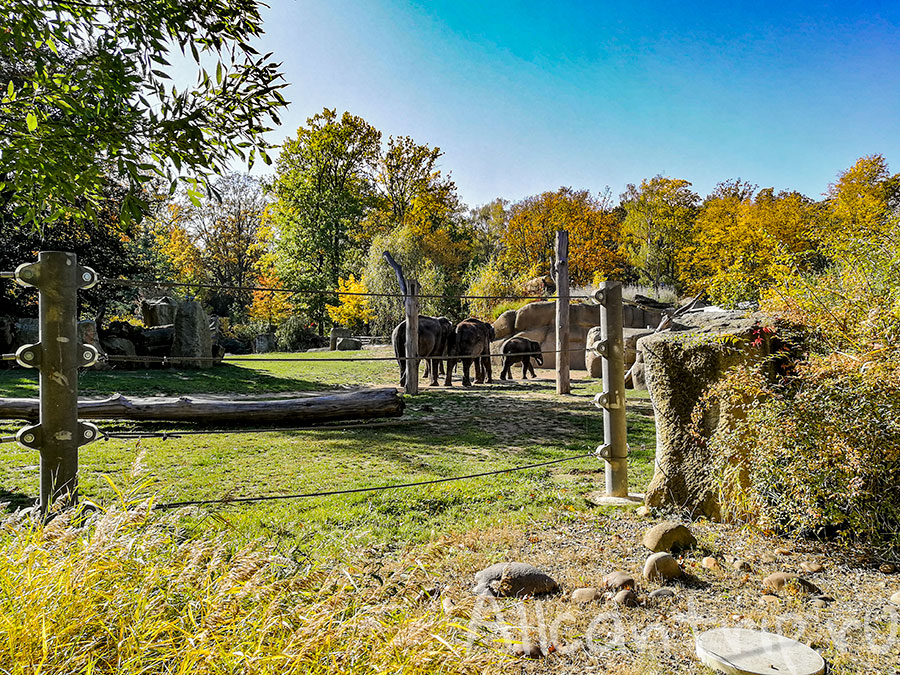 зоопарк праги отзывы