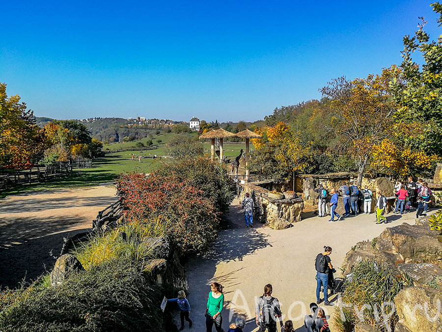 зоопарк праги долина слонов