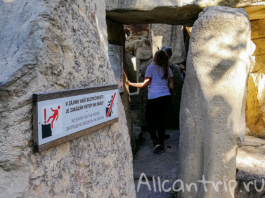 пражский зоопарк