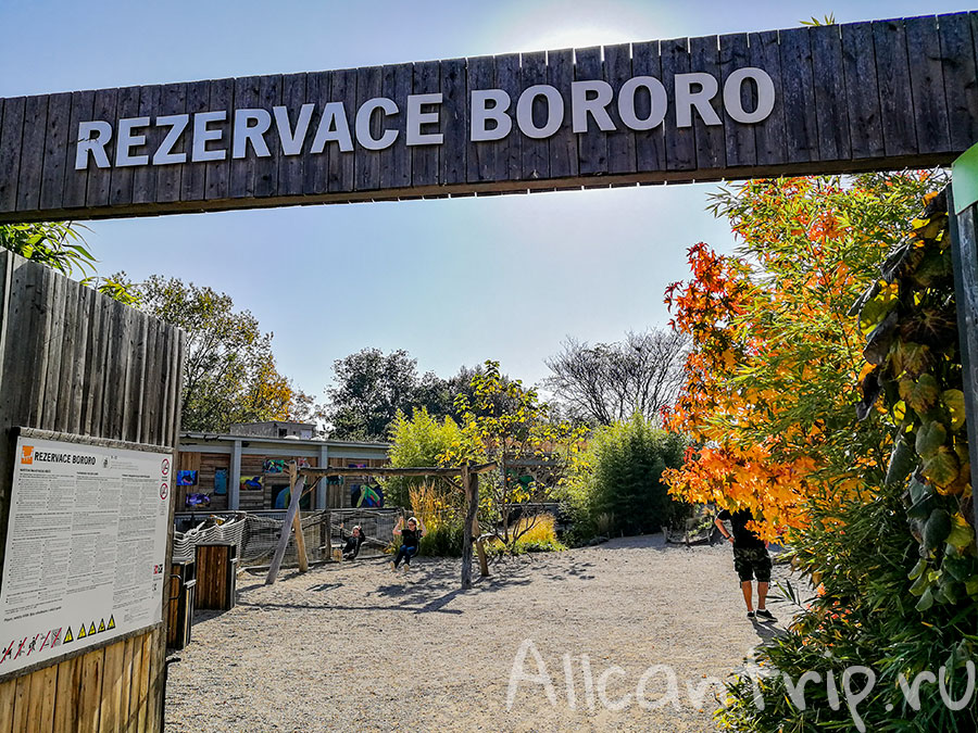 пражский зоопарк фото