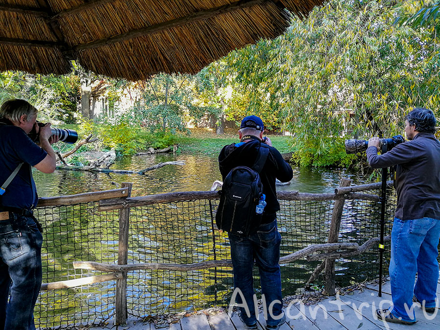 пражский зоопарк фото