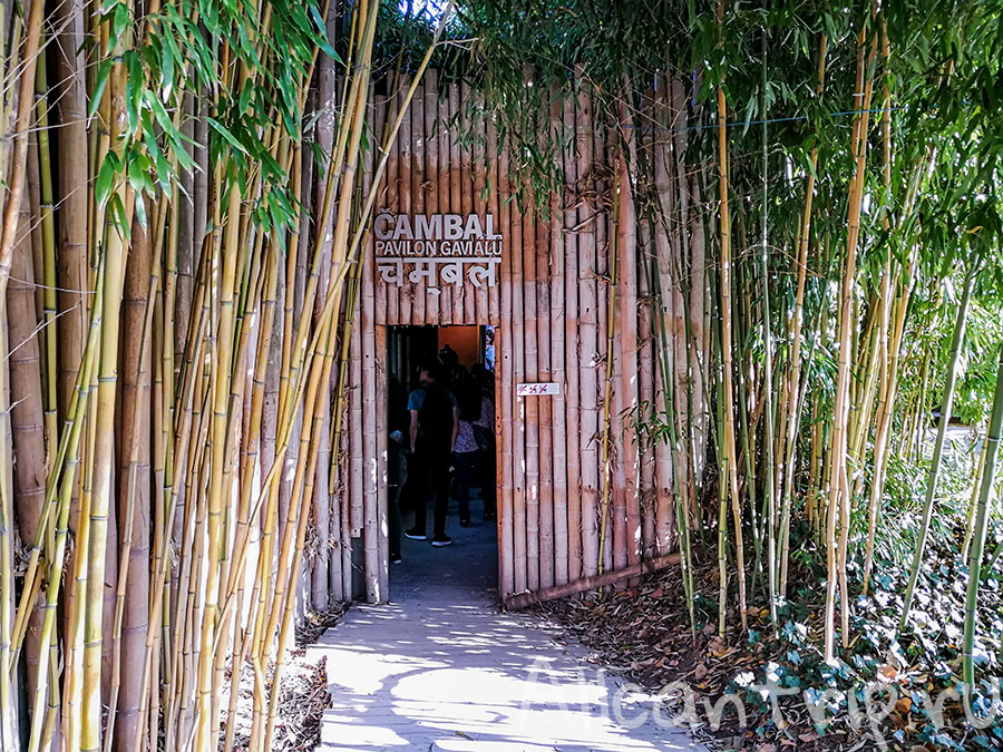 пражский зоопарк фото