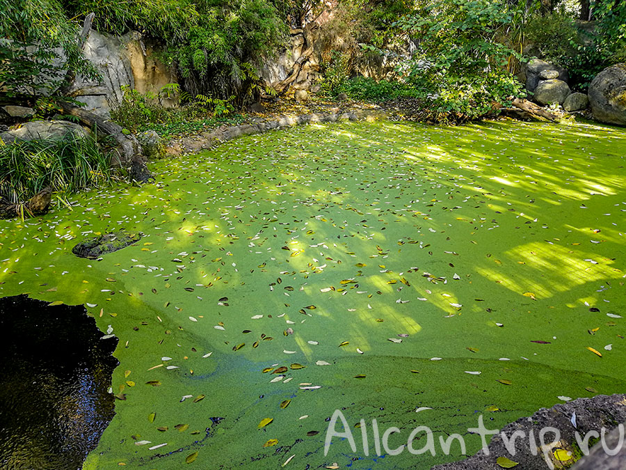 пражский зоопарк фото