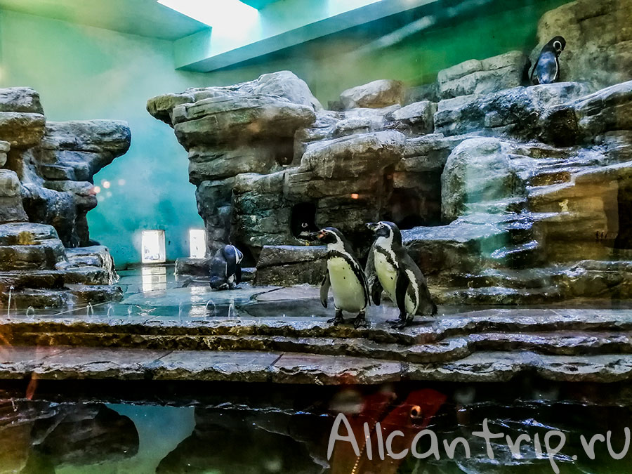 пражский зоопарк фото